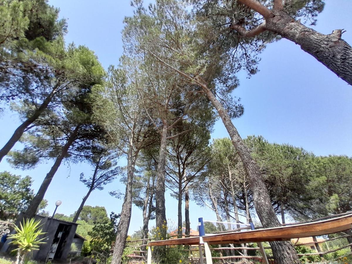 Etna Country Home Nicolosi Ngoại thất bức ảnh